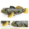 JOKFEICE Ocean Sea Animal Toys, Realistic Mudskipper Fairy Garden Accessories, Learning Educational Toys for Christmas Birthday Cake Topper Gift for Kids