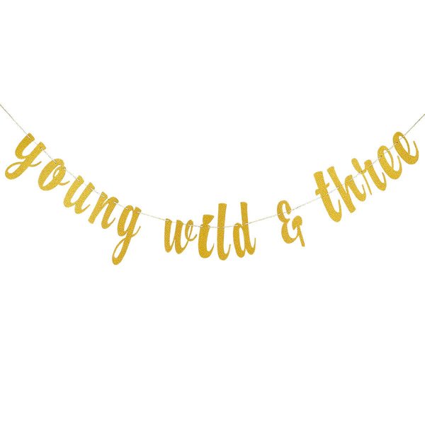 Young Wild & Three Banner Gold Glitter, Young Wild and Three Decorations, Happy Birthday 3rd Banner, 3rd Birthday Decorations