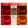 Splat Semi Permanent Fantasy Complete Hair Color Kit in Ombre Fire