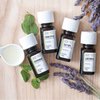 Aura Cacia Discover Essential Oils Kit, 4-Pack, Lavender, Eucalyptus, Peppermint & Tea Tree Oils, Excellent Starter Set