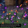 Wintergreen Lighting Halloween Icicle Lights, 70 Purple and Orange Mini LED Lights on Black Wire, 7 ft Fun House Halloween Decorations Party Lights (70 Icicle Lights)