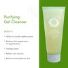 Honeybee Gardens Purifying Gel Cleanser, 5.1 fl. oz. | Certified Vegan & Cruelty Free | For All Skin Types