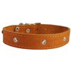Genuine Leather Studded Dog Collar, 1.25" Wide. Fits 15"-18.5" Neck. Amstaff