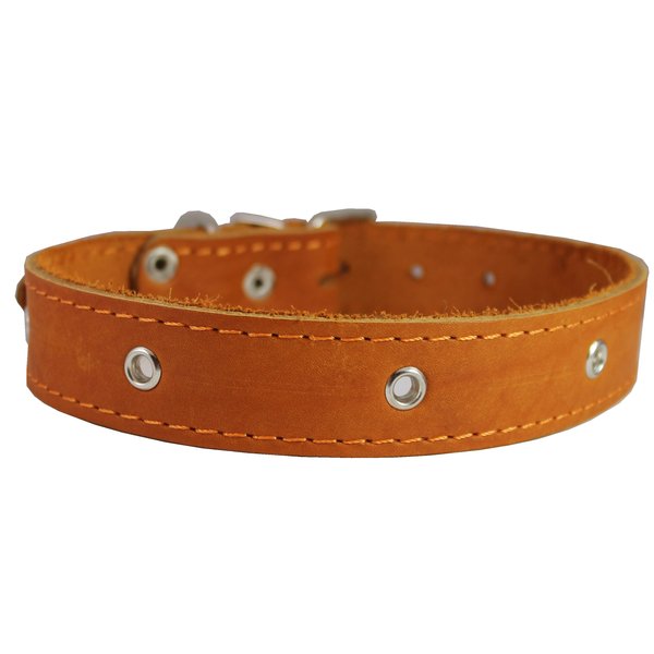 Genuine Leather Studded Dog Collar, 1.25" Wide. Fits 15"-18.5" Neck. Amstaff