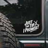 Just The Tip I Promise Car Decal - Stickers for Laptop - Durable Vinyl Car Decal - Easy to Apply and Remove - Outdoor and Indoor Use - Adds A Personal Touch to Your Ride