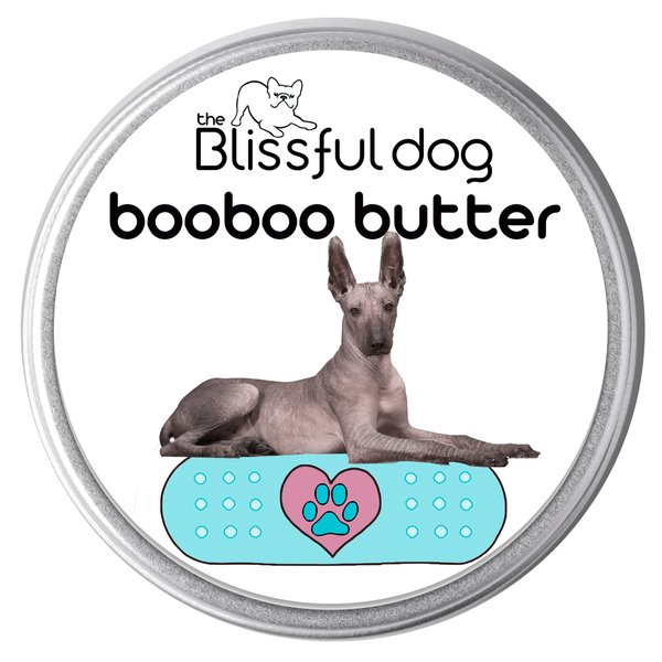 The Blissful Dog Xoloitzcuintli Boo Butter, 2 oz
