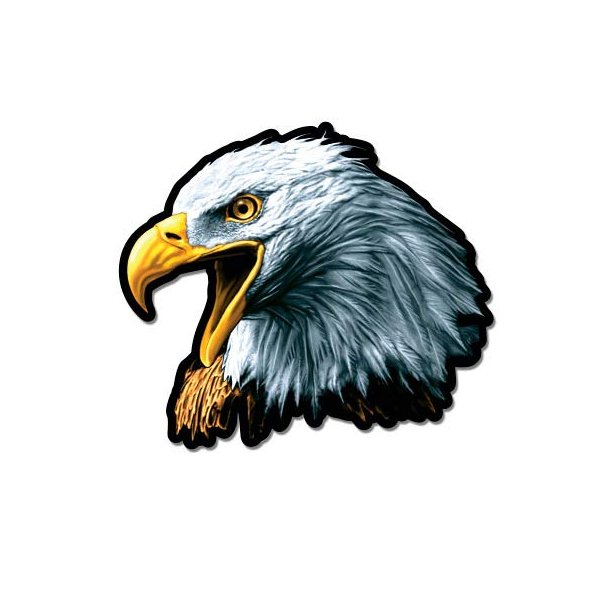 GT Graphics Bald Eagle - 12" Vinyl Sticker Waterproof Decal