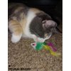 HEUHAI Cat Toys - 15 Diverse Cat-Themed Toys for Engaging and Stimulating Your Feline's Playful Instincts with Interactive and Self-Play Options