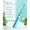 Blenpapa USB Rechargeable Sonic Electric Toothbrush for Adults Powered Motor Soft Dupont Brush Heads 2 Minutes Timer 5 Modes Teeth Whitening, Green