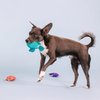 Fringe Studio Plush Dog Toy Set, Any Fin is Possible, Small 3 Piece Set, Pet Shop Collection (662084)