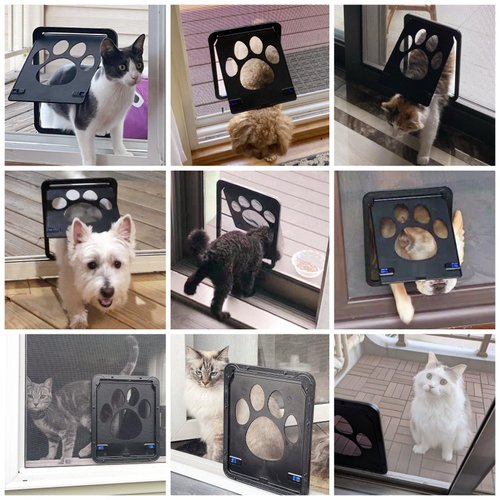 Cat Door for Screen Door 8.25x10.4 inch Doggy Door for Sliding Door Magnetic Door for Small Dogs and Cats Pet Door Passing Freely, Double-Sided Lockable
