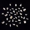 Tisslan 100pcs Flat Back Crystal Clear Glass Shape Nail Rhinestones 720pcs Loose Cystal Beads Nail Art Decoration Craft Accessory