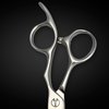 Legacy Steel Hair Scissors - Professional Japanese Steel ATS-314 (Hair Thinning Shears)