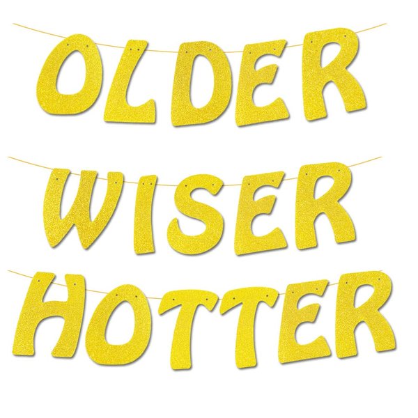 Older Wiser Hotter Banner Gold Glitter Fun Birthday Party Decorations Happy Birthday Party Supplies for disco 30th 40th 50h 60th 70th 80th Birthday Party Decorations