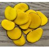 Tagua Beads. 20 Chips. Natural Eco-Friendly Tagua Slices. 10 Black and 10 Yellow Slices. Medium Size: 3x2.5 cm. Approx. Undrilled
