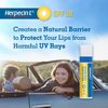 Herpecin L Lip Protectant SPF 30 0.10 oz (Pack of 5) by Herpecin-L