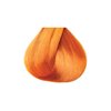 Kiss Tintation Semi-Permanent Hair Color Treatment 148 mL (5 US fl.oz) (Ginger)