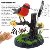 Tipmant Electronic Bird Toys Electric Animal Pets Move Chirp Home Office Decor Decoration Kids Gifts