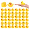 50Pack Mini Rubber Ducks, Rubber Duck Bulk Float Duck Baby Bath Toy, Shower Birthday Party Favors Gift Classroom Summer Beach Pool Party Games