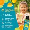 Barlean's Omega Pals Lipsmackin' Citrus Flavored Omega-3 for Kids, Yummy Children's Liquid Fish Oil Supplement with 750 mg of EPA & DHA for Brain & Eye Health, 8 oz
