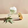 Rahua Leave In Hair Treatment Light, 2 Fl Oz, Anti Frizz Heat Protectant, Natural Hair Moisturizer for Hair Care, Softens Hair, Fine Hair Types, Nourishing Natural, Plant-Based Derived Ingredients