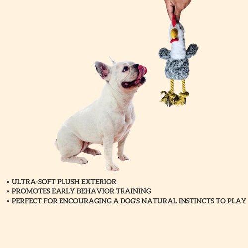 Plush Chicken Dog Toy | Chicken Rope Dog Toy Plush | Squeaky Plush Dog Toys | Durable Squeaky Dog Toys | Chicken Crinkle Plush Dog Toys for Interactive Play | Chew Resistant Stuffed 14.5-inch