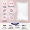Blissy Silk Pillowcase - 100% Pure Mulberry Silk - 22 Momme 6A High-Grade Fibers - Silk Pillow Cover for Hair & Skin - Regular, Queen & King with Hidden Zipper (Standard, White)