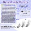 TOOCHUNAG Wispy Lash Clusters 240Pcs Natural Eyelash Clusters 10-14MM C Curl Individual Lashes Cluster Eyelash Extensions 3D DIY Lash Extension