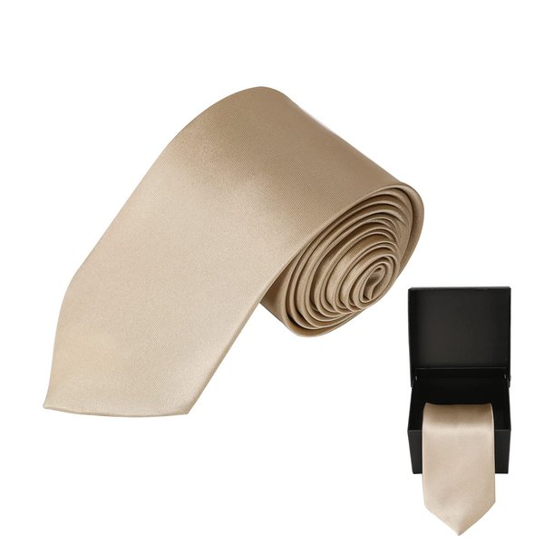 Solid Satin Tie Pure Color Necktie Mens Ties + Gift Box (Champagne color)