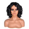 SOFUN Short Curly Wigs for Black Women Afro Curly Wig with Bangs Loose Cute Curly Fluffy Wavy Big Bouncy Fluffy Curly Wig(Black)