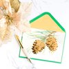 Papyrus Holiday Cards Boxed with Envelopes, Wonderful Year to Come, Pinecones (14-Count)
