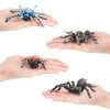 Fantarea 12 PCS Wild Animal Figures Model Insect Spider Playset Party Favors Supplies Cake Toppers Set Toys for 5 6 7 8 Years Old Boys Girls Kid Toddlers