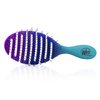 Wet Brush Brush Flex Dry Teal Ombre