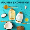 OGX Lightweight + Coconut Fine Curls Conditioner, Lightweight, Coconut Water Conditioner, 13 Fl Oz