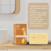 Dr Jacobs Naturals Pure Castile Bar Soap - Triple Milled Loofah Exfoliating Castile Bar Soap, 5 oz. - Free of Parabens, Sulfates, Synthetics, Gluten and GMO (Citrus Crush Cocktail)