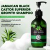 Jamaican Black Castor Oil Shampoo and Conditioner Set, Strengthen & Restore, Growth Jamaican Black Castor Shampoo 10.56 fl.oz & Conditioner 10.56 fl.oz Gift Set 2-PC Boxed Set Hair Care Collection