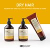 INSIGHT Clean Beauty Dry Hair Nourishing Conditioner With Organic Oat Extract, Vegan, 13.5 fl oz