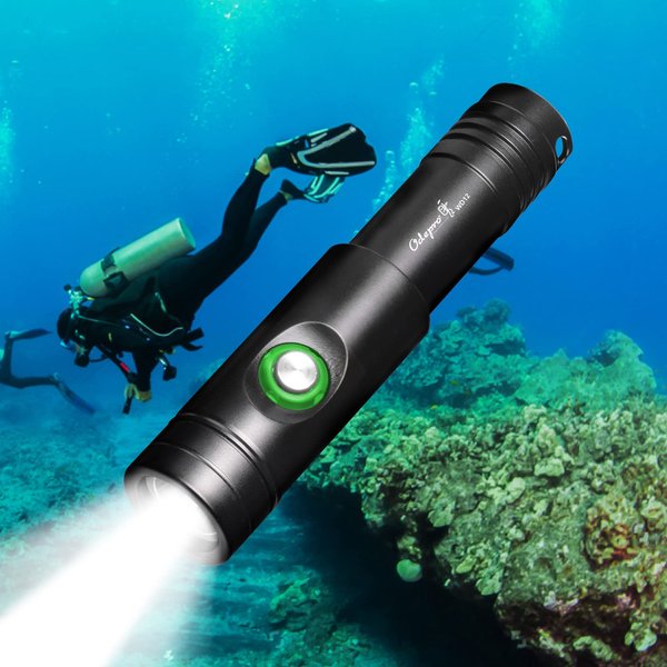 Odepro WD12 Dive Light Torch, 980 Lumens Super Bright Compact Scuba Diving Light with 3 Modes, IP68 Waterproof Submersible Flashlight, for 100m Underwater Diving (Black)