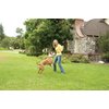 PetSafe Stay+Play Wireless Receiver Collar Blk