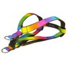 Medium Rainbow Dog Harness: 3/4" Wide, Adjusts 18-24" - Made in USA.