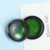 Christmas St. Patrick's Day Chrome Nail Powder, Green Chrome Nail Powder Metallic Mirror Effect for Nails Art Design Holographic Glitter Pigment Dust for DIY Manicure Decorations 1Pcs