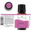 Plant Therapy Balance Essential Oil Blend 10 mL (1/3 oz) 100% Pure, Undiluted, Therapeutic Grade