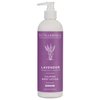 Just Essence Moisturizing Body Lotion - 12 oz (Natural Lotion -Lavender)