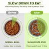 Pecute Slow Feeder Dog Bowls to Slow Down Eating, Dog Bowl Slow Feeder with No-Spill Non-Skid Silicone Mat, Food-Grade Safe Dog Food Bowls Slow Feeder, Stainless Steel Dog Water Bowl for Dogs Cats