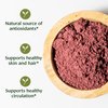 Banyan Botanicals Hibiscus Powder – Organic Hibiscus sabdaiffa – For Refreshing Hibiscus Tea – Supports Healthy Hair & Skin* – 1/2 lb. – Non-GMO Sustainably Sourced Vegan