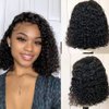 Cocoarm 14 Inch Short Curly Bob Wigs Human Hair 150% Density Wigs For Black Women With (1)