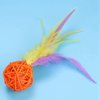 Ichiias 5 pcs/Set Cat Toy Colorful Kitten Plush Rattan Balls with Feather Ring Bell