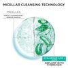 Garnier Micellar Water with Hyaluronic Acid, Facial Cleanser & Makeup Remover, Hydrating and Plumping, For All Skin Types, Vegan, Cruelty Free, 13.5 Fl Oz (400mL), 2 Count