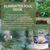 Nualgi Organic Digester, 8.8 oz Concentrate for Pond and Water Feature Maintenance, High-Count Bacteria for Naturally Digesting Waste, Treats up to 8,000 Gallons - 100% Safe for All Aquatic Life
