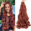 Ayana 8 Packs French Curly Braiding Hair 22 Inch Long Bouncy Loose Wavy Crochet Hair For Black Women Pre Stretched French Curl Braiding Hair Synthetic Hair Extensions(22 Inch (Pack of 8), 350#)